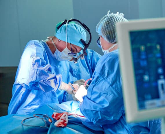 Gallbladder cancer — photo 3